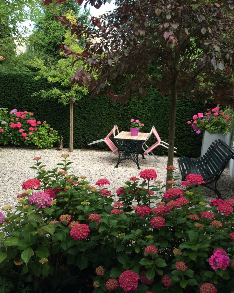 Een grindtuin met bloeiende roze hortensia's, een groen bankje en een tafeltje. Twee roze stoelen zijn omgedraaid in de buurt, terwijl een potplant bovenop staat - perfecte inspiratie voor tuinservice en constructies te midden van groene heggen en bomen op de achtergrond.