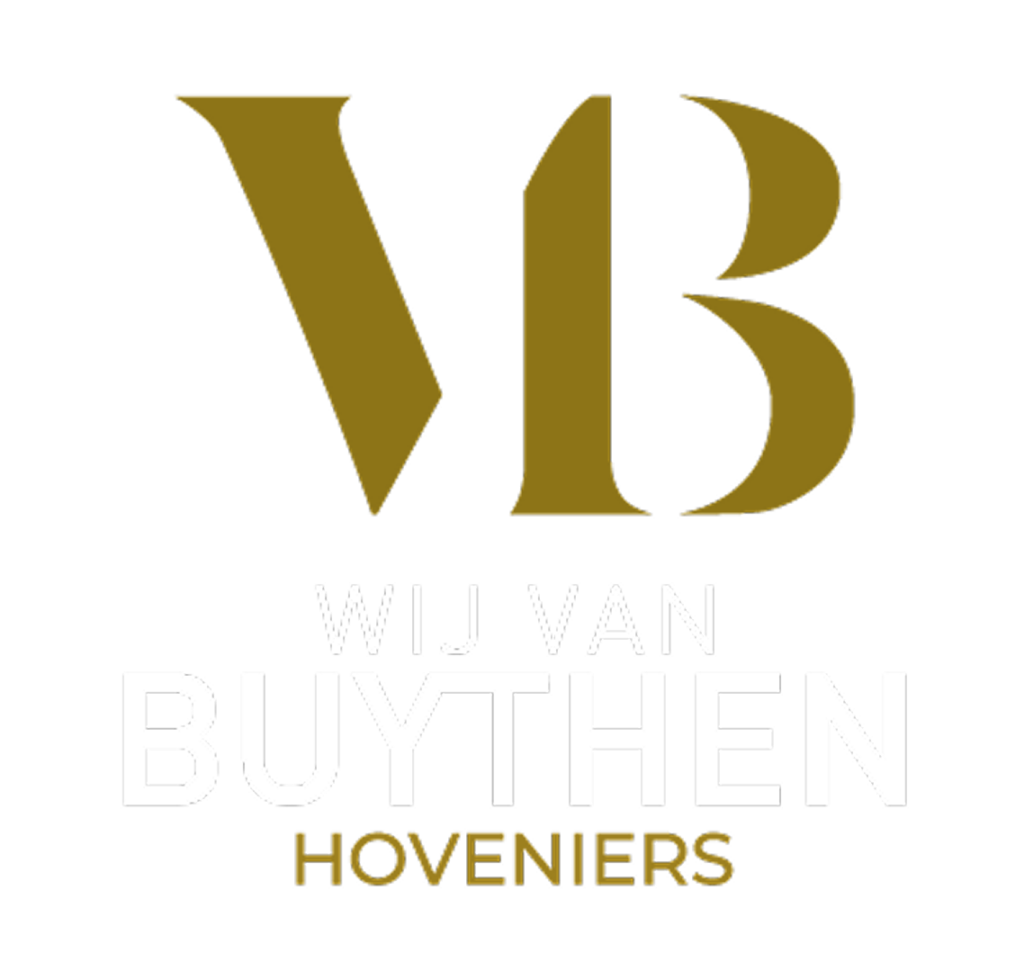 Logo met grote gouden letters VB boven de woorden WIJ VAN BUYTHEN in wit en HOVENIERS in goud, alles op een lichtgrijze achtergrond.