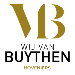 Logo met grote gouden letters VB bovenaan, daaronder de tekst WIJ VAN BUYTHEN in zwart en HOVENIERS in kleinere gouden letters onderaan, alles op een lichte achtergrond.
